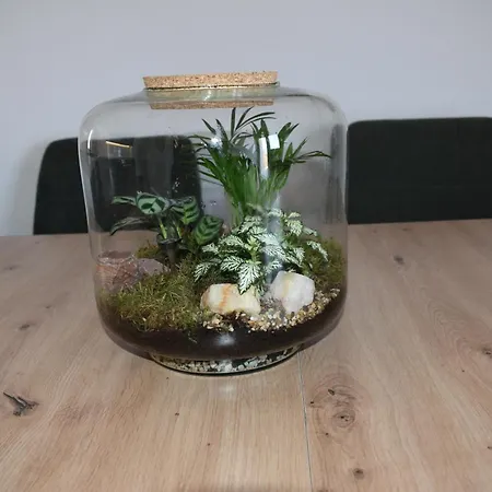 Appartement Nomand *